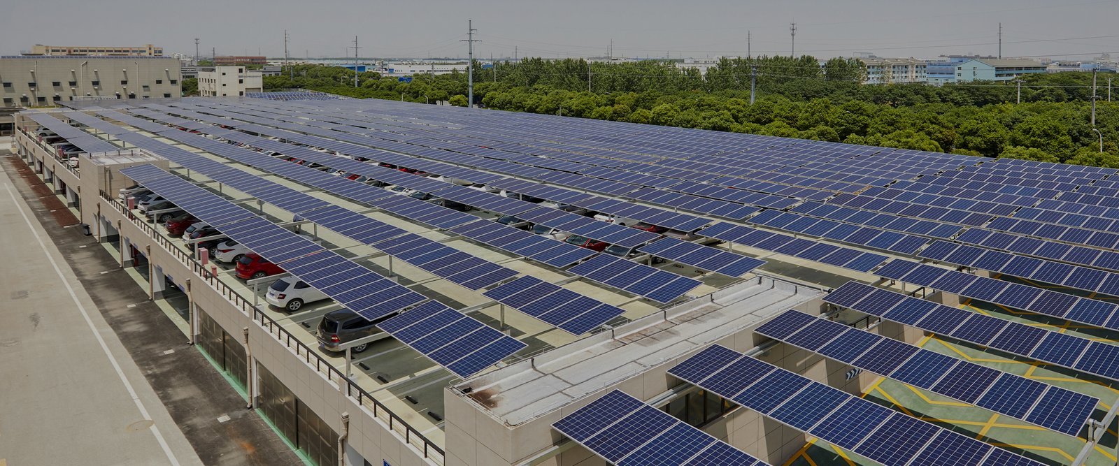 whysolar (1)